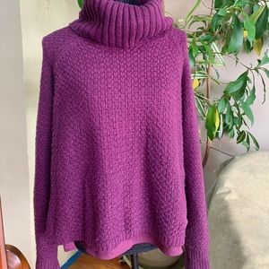 The Limited Eggplant Color Sweater
